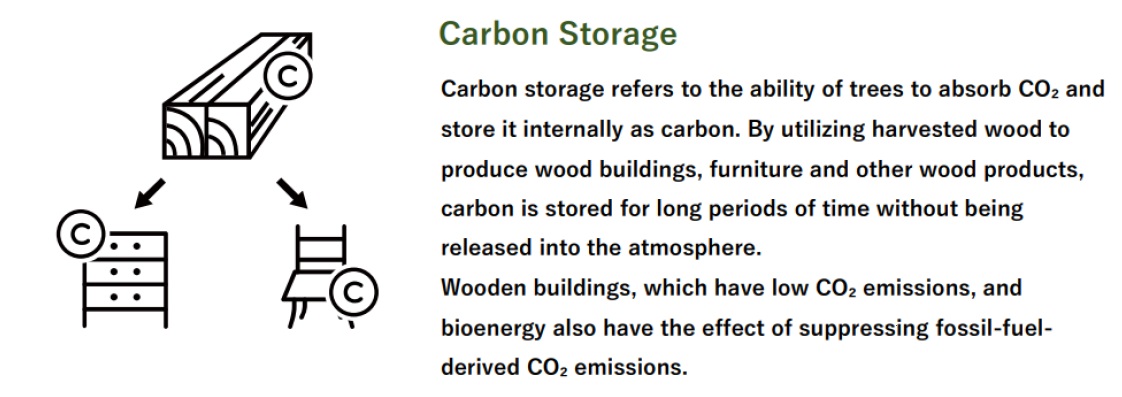 Utilising wood for long-term carbon storage