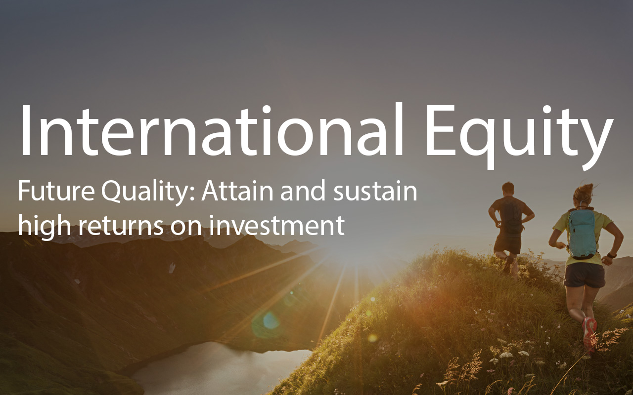 International Equity